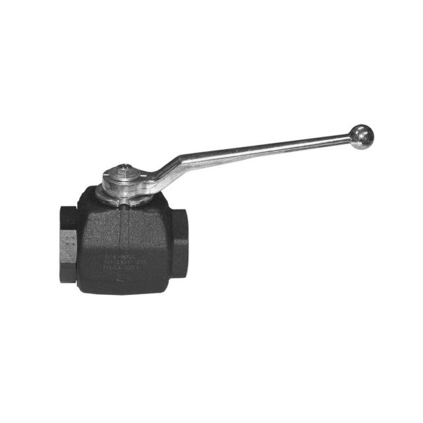 this is Forged Steel Valves